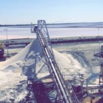 Bande Transporteuse la Maison Du Caoutchouc